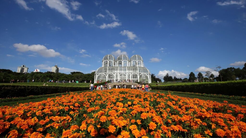 Estufa do Jardim Botânico de Curitiba, no Paraná, em um dia ensolarado. O primeiro plano é dominado por um vasto canteiro de flores laranjas, e a estufa de metal e vidro, em estilo art nouveau, aparece ao fundo, com pessoas caminhando nos arredores. O céu está azul com algumas nuvens brancas.