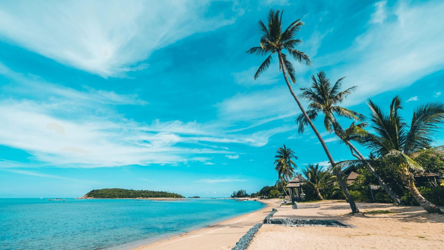Uma bela praia com palmeiras e um céu azul.