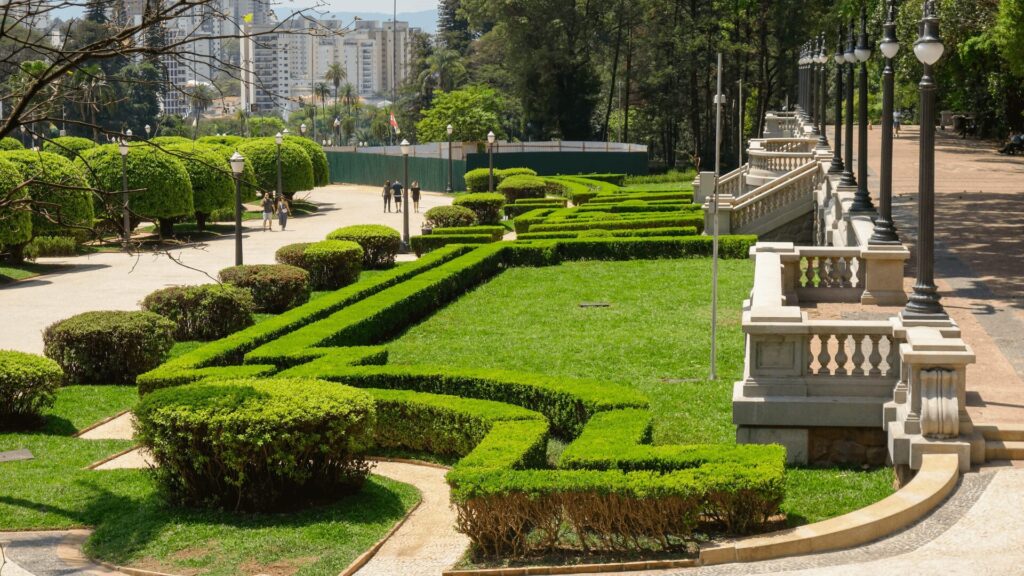 Grama verde vibrante em um parque.