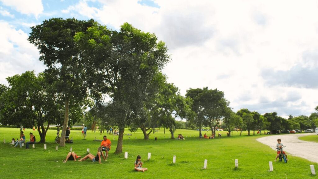 Um grupo de pessoas sentadas na grama de um parque, aproveitando um dia ensolarado cercado pela natureza.