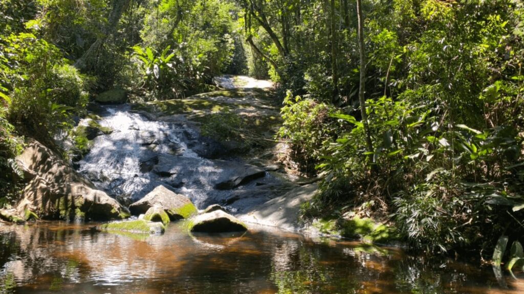 Uma cachoeira de águas cristalinas desce suavemente por entre rochas cobertas de musgo, formando uma piscina natural convidativa. A vegetação ao redor é densa e verdejante, com árvores altas e folhagens exuberantes. A luz do sol penetra pelas folhas, criando um jogo de sombras e luzes na água e nas pedras. O ambiente é tranquilo e sereno, transmitindo uma sensação de paz e harmonia com a natureza.