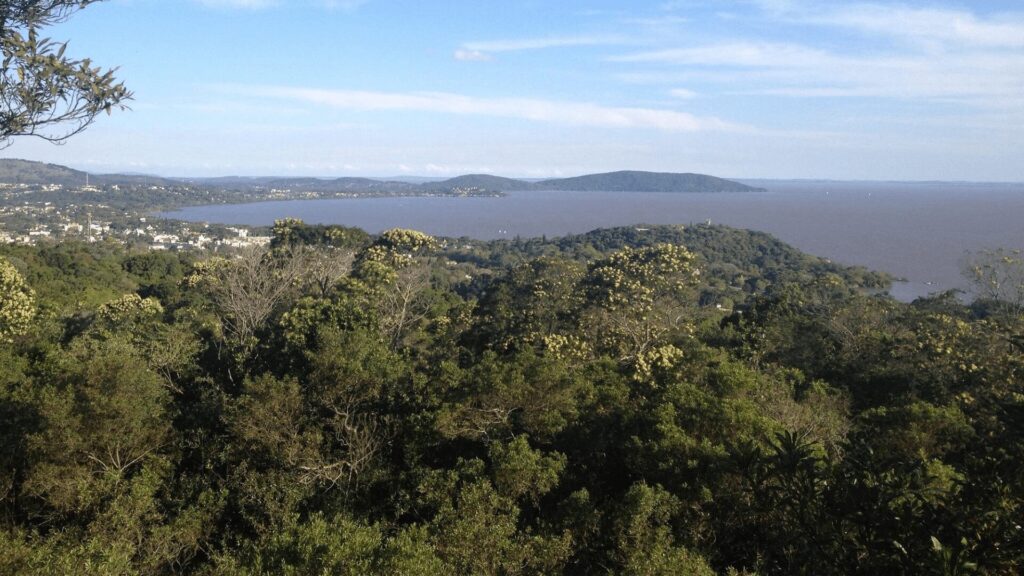 Uma vista panorâmica de uma exuberante floresta com um lago ao fundo sob um céu azul claro.