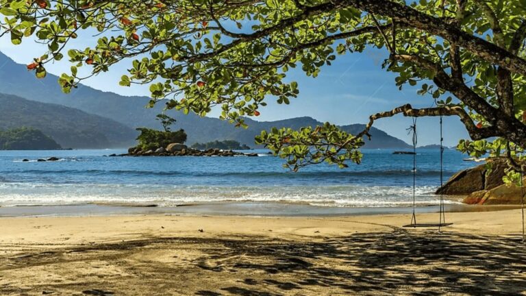 Uma cena de praia serena com um balanço pendurado em uma árvore, com vista para águas azuis calmas e colinas distantes.