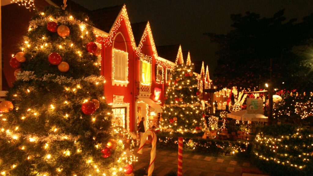 Casa festivamente iluminada e árvores de Natal com decorações natalinas à noite.