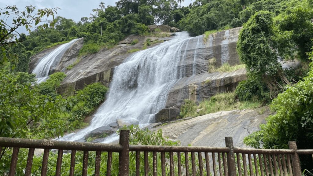 Uma cascata cercada por uma vegetação exuberante, vista por trás de uma grade de bambu.