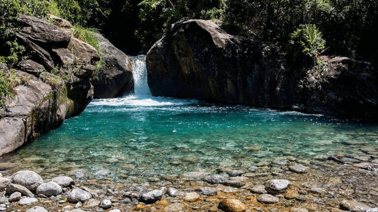 Uma cachoeira deságua em uma piscina natural cristalina, aninhada entre rochas cobertas de musgo em uma floresta exuberante.