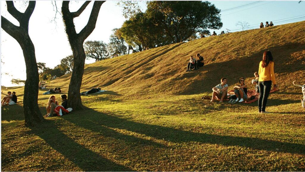 Uma extensa área urbana se estende ao longe, vista de um mirante cercado por uma densa vegetação. Prédios de diferentes alturas e estilos arquitetônicos compõem a paisagem urbana, que contrasta com o verde vibrante das árvores em primeiro plano. O céu azul com nuvens brancas e fofas completa a cena, criando uma atmosfera de grandiosidade e beleza.