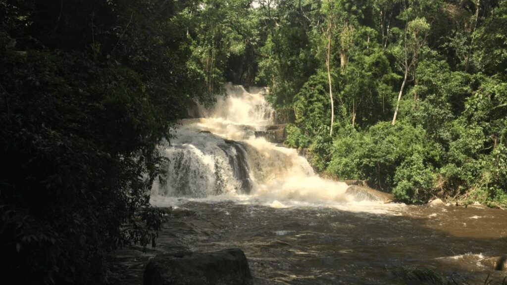 Uma cachoeira de vários níveis no meio de uma floresta densa. A água branca e espumante cai sobre rochas escuras, criando um contraste dramático. As árvores verdes e exuberantes cercam a cachoeira, com algumas árvores mais altas se destacando. A luz do sol penetra na copa das árvores, iluminando a névoa da cachoeira e criando um efeito suave e brilhante. O rio na frente da cachoeira é largo e calmo, com algumas rochas grandes visíveis na água.