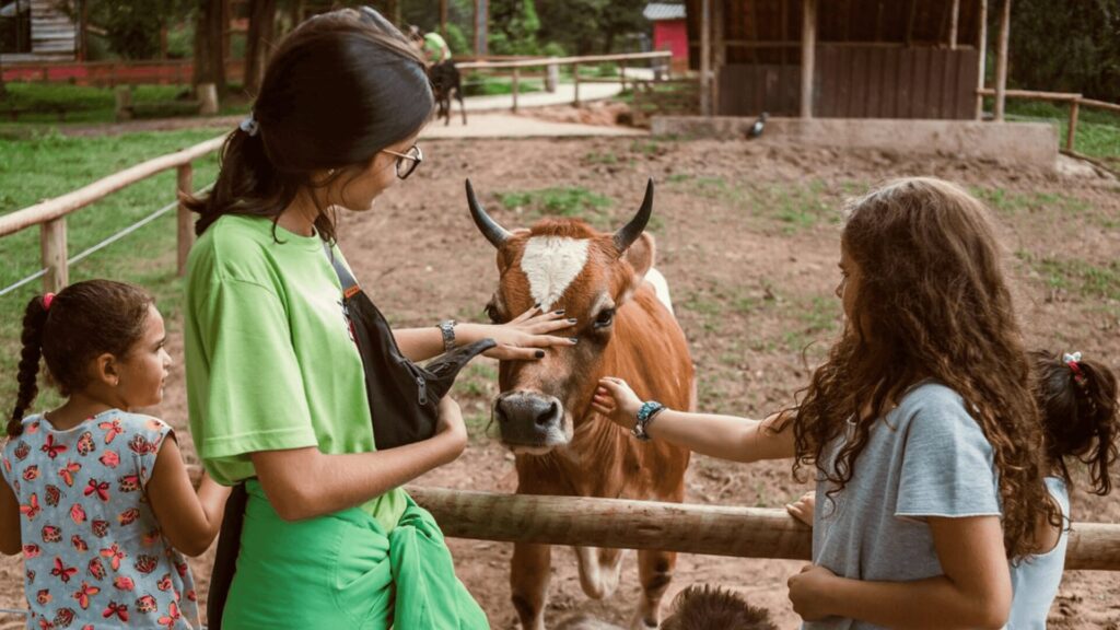 Um grupo de crianças interage com uma vaca marrom amigável em uma fazenda, sorrindo e acariciando gentilmente seu nariz.