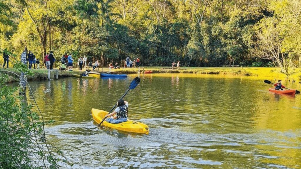 As pessoas andam de caiaque em um lago tranquilo cercado por árvores exuberantes, enquanto os espectadores apreciam o ambiente sereno ao ar livre. A luz solar é filtrada pelas folhas.