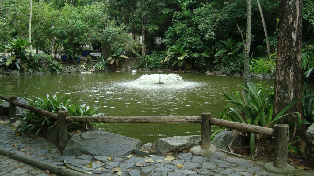 A imagem mostra uma paisagem serena de um parque ou jardim botânico, centrada em um lago verde-escuro com uma fonte no meio. A fonte lança um jato de água para cima, criando um borbulho branco na superfície do lago.
Ao redor do lago, a vegetação é densa e exuberante, com várias árvores e plantas tropicais de diferentes tons de verde, que se estendem até o fundo da imagem. Há uma sensação de profundidade e abundância de natureza.
Em primeiro plano, na parte inferior da imagem, um caminho pavimentado com pedras irregulares se estende da esquerda para a direita, parcialmente obscurecido por uma cerca rústica de madeira que separa o caminho do lago. Algumas pedras grandes também estão dispostas perto da margem, complementando o ambiente natural.
A iluminação sugere um dia nublado ou uma área de sombra densa, o que contribui para a atmosfera tranquila e um pouco misteriosa do local.