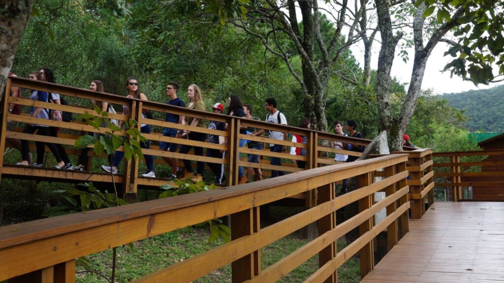 A imagem mostra um grupo de jovens, aparentemente estudantes, caminhando por uma passarela elevada de madeira em um ambiente de floresta ou parque natural.