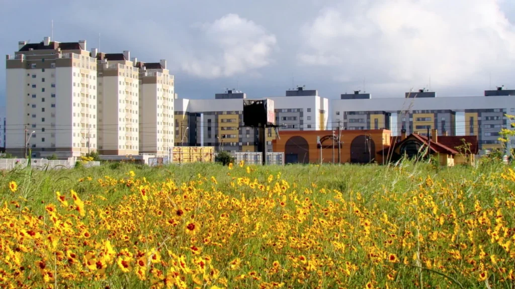 Um campo de flores amarelas vibrantes em primeiro plano contrasta com edifícios residenciais modernos sob um céu nublado ao fundo.