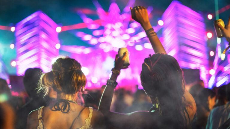 Duas pessoas de costas, com os braços levantados, assistindo a um show ao ar livre à noite. O palco está iluminado com luzes roxas e coloridas, criando um ambiente animado de festival.