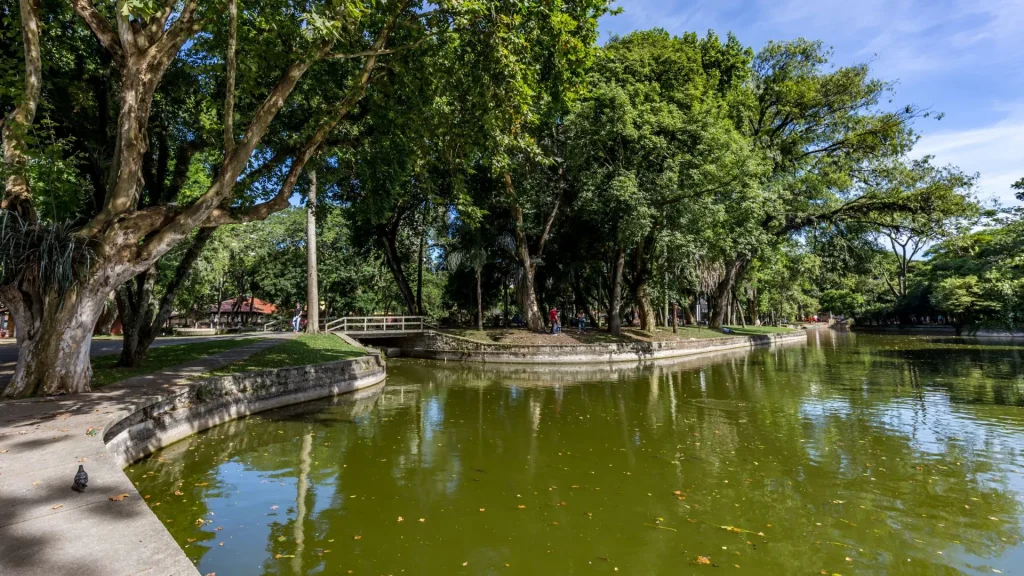 Vista do lago no Passeio Público de Curitiba, no Paraná. O lago tem água de cor verde-oliva e está cercado por uma ilha com árvores e uma ponte de madeira branca. O céu é azul com algumas nuvens, e a vegetação é densa e verde.
