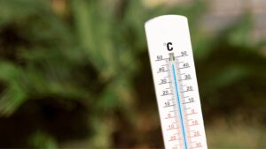 Um termômetro analógico branco, inclinado para a direita, é o foco principal da imagem. Ele mede a temperatura em graus Celsius (°C), com marcações que vão de -30°C a 50°C. O líquido azul dentro do termômetro está próximo da marca de 45°C, indicando uma temperatura muito alta. O fundo da imagem está desfocado e mostra uma área verde e escura, sugerindo que o termômetro está em um ambiente externo, como um jardim ou floresta.