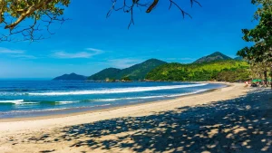 A imagem mostra uma bela praia de areia clara com um mar azul de ondas suaves. No primeiro plano, o canto de uma árvore com galhos e folhas cria uma moldura natural na parte superior. A areia forma uma enseada que se estende até o fundo, onde o mar encontra as montanhas de mata densa. O céu é predominantemente azul com algumas nuvens brancas, e a cena transmite uma sensação de tranquilidade e natureza intocada.