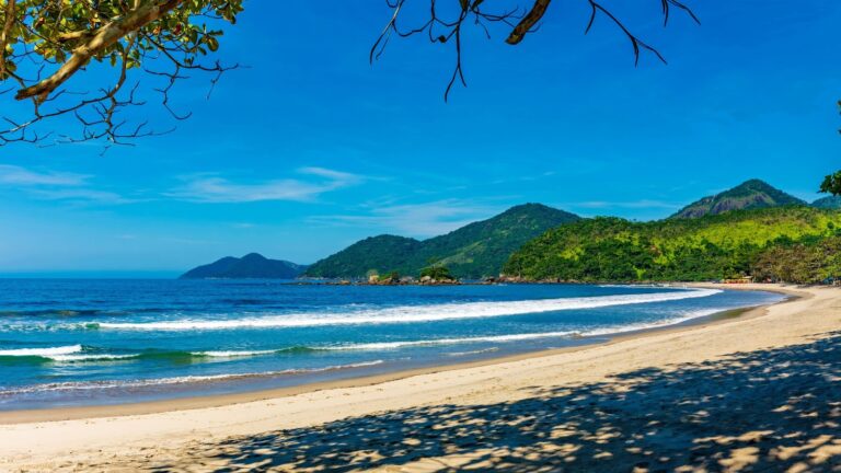 A imagem mostra uma bela praia de areia clara com um mar azul de ondas suaves. No primeiro plano, o canto de uma árvore com galhos e folhas cria uma moldura natural na parte superior. A areia forma uma enseada que se estende até o fundo, onde o mar encontra as montanhas de mata densa. O céu é predominantemente azul com algumas nuvens brancas, e a cena transmite uma sensação de tranquilidade e natureza intocada.