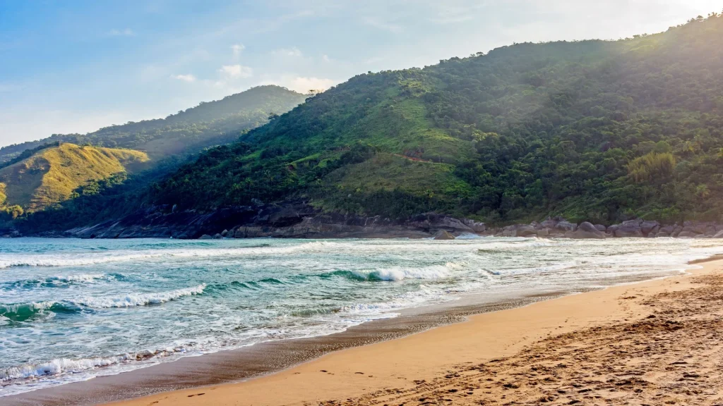 Praia selvagem com areia dourada e ondas claras, cercada por montanhas íngremes cobertas de Mata Atlântica sob a luz do fim de tarde.