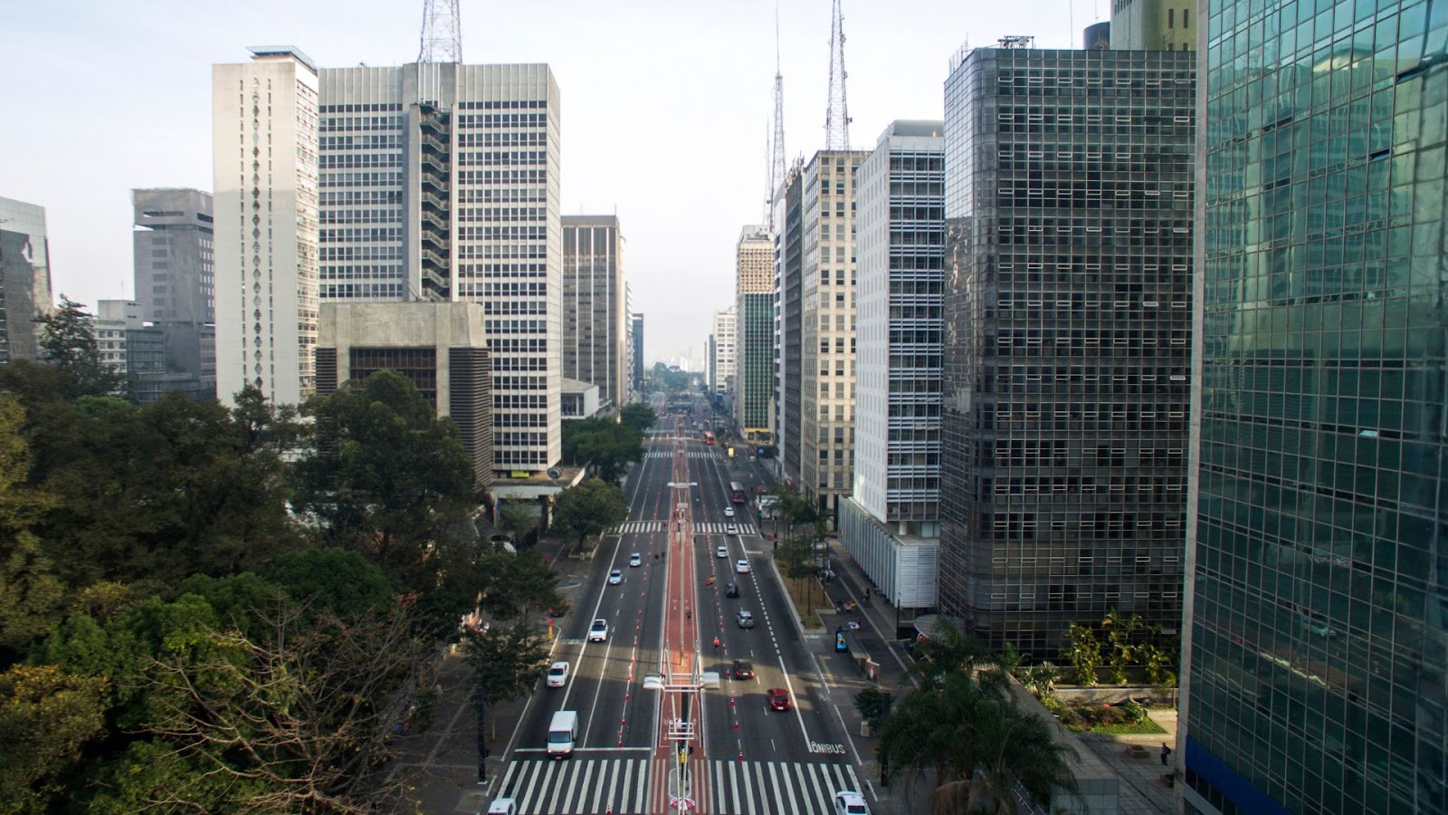 São Paulo Vista em plano aberto da Avenida Paulista, em São Paulo, com um canteiro central. A avenida está cercada por arranha-céus altos e modernos de ambos os lados. Árvores e vegetação preenchem a parte inferior e as margens da rua, com tráfego de carros em ambas as direções. O céu está claro e um pouco encoberto.