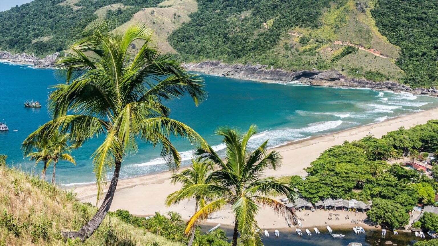 Uma vista panorâmica e elevada de uma bela praia tropical. No primeiro plano, coqueiros exuberantes se inclinam sobre uma encosta gramada. A praia tem areia clara e forma uma longa curva com águas azul-turquesa. Pequenas ondas quebram na costa. A extremidade direita da praia encontra um pequeno estuário onde alguns barcos estão ancorados. No fundo, a praia é cercada por colinas e montanhas cobertas por uma densa Mata Atlântica verde. O céu é azul e o sol está forte, iluminando a cena.
